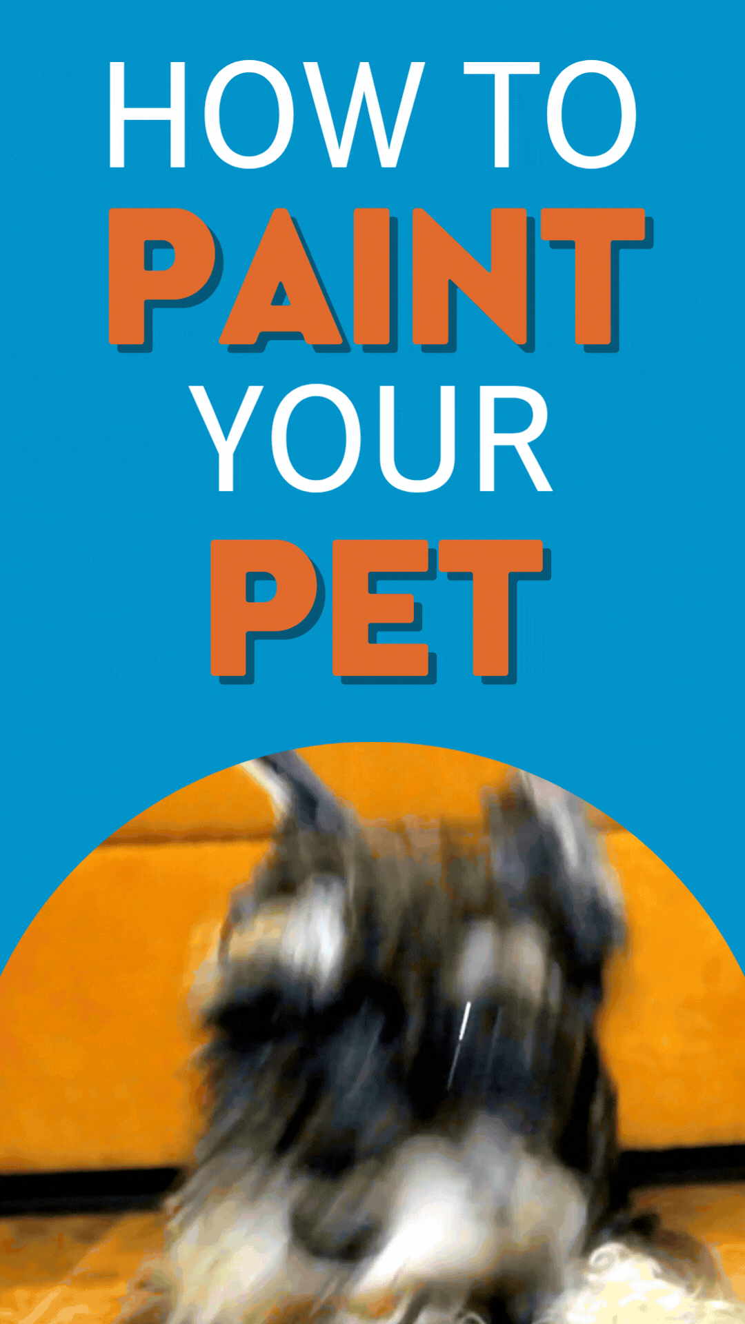 Pet Painting